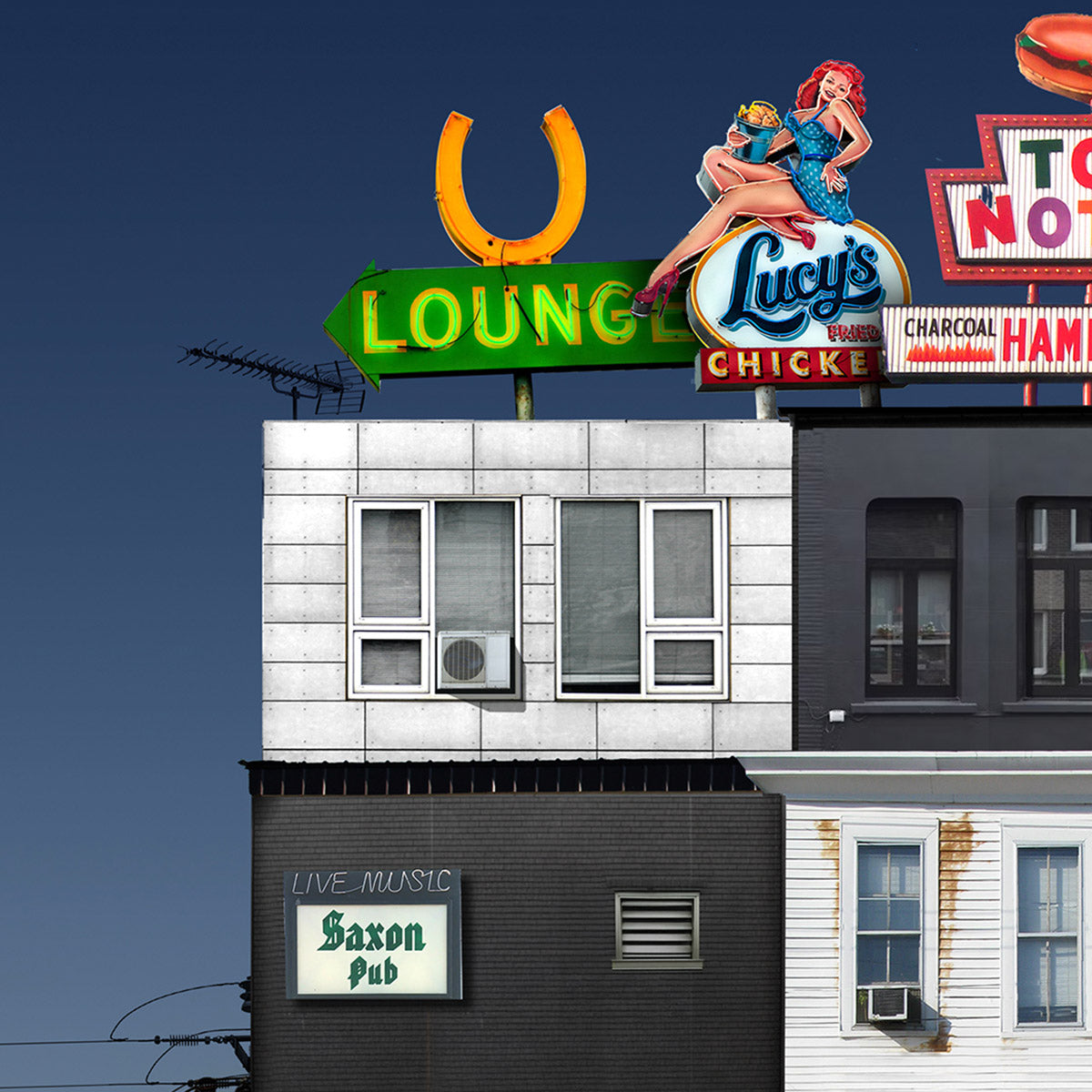 Endangered Austin #2