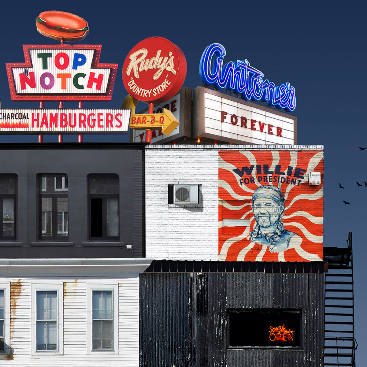 Endangered Austin #2